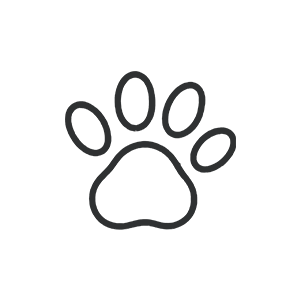 Pet Care